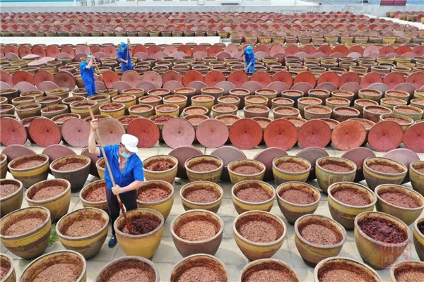 Fermenting bean paste yard