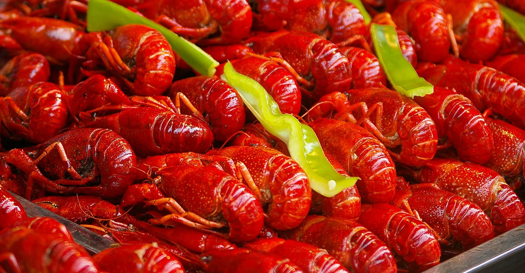 Street food Shanghai 20090726 2033