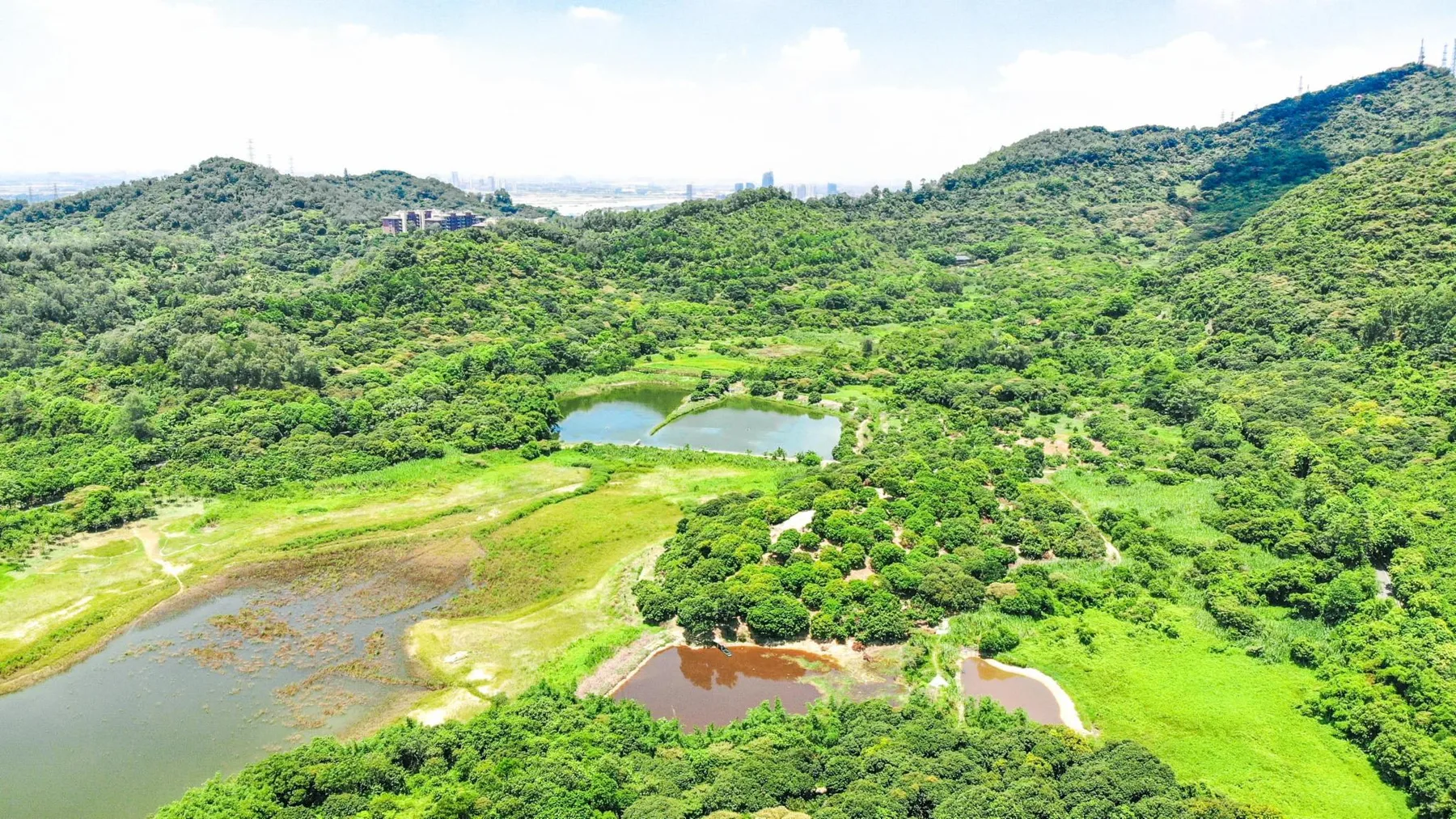 2026黄山鲁森林公园游玩攻略,遇见黄山鲁森林公园,作为广...【去哪儿攻略】