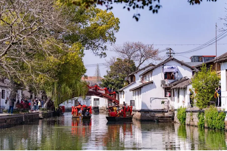 2019桥乡金泽 旅游攻略 门票 地址 游记点评,上海旅游景点推荐 - 去哪儿攻略社区