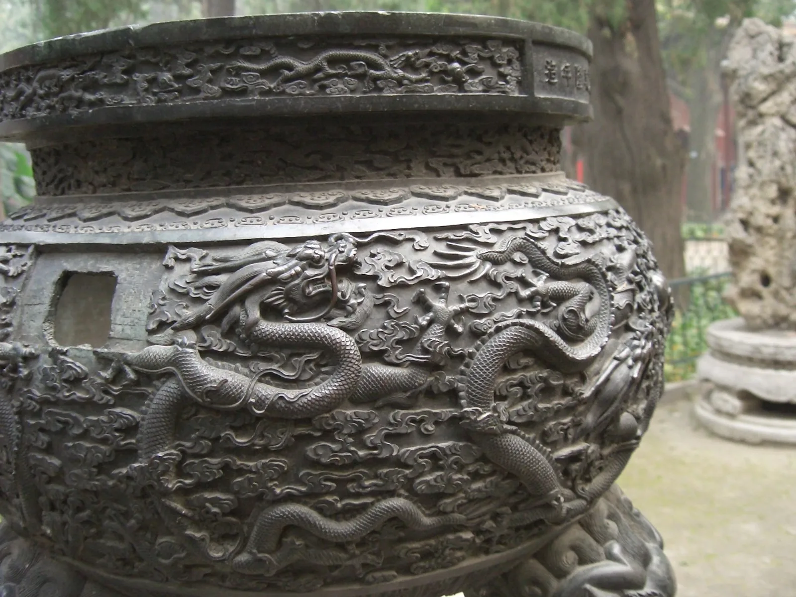 孔庙内的古柏