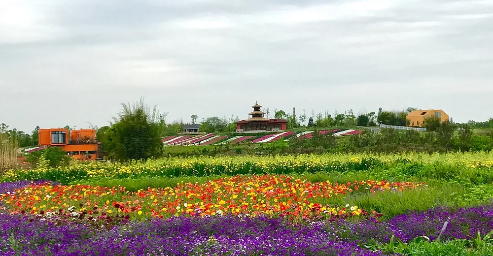 Weiran Flower Sea scene 4