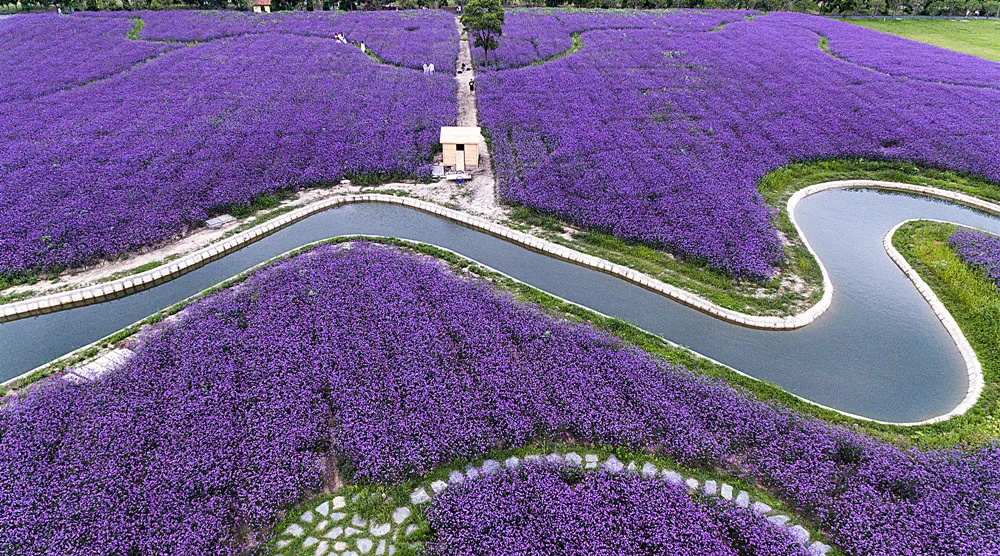 好消息!青浦朱家角镇张马村乡村振兴案例入选2021世界旅游联盟旅游助力乡村案例集! 图片新闻 文旅局 上海市青浦区人民政府