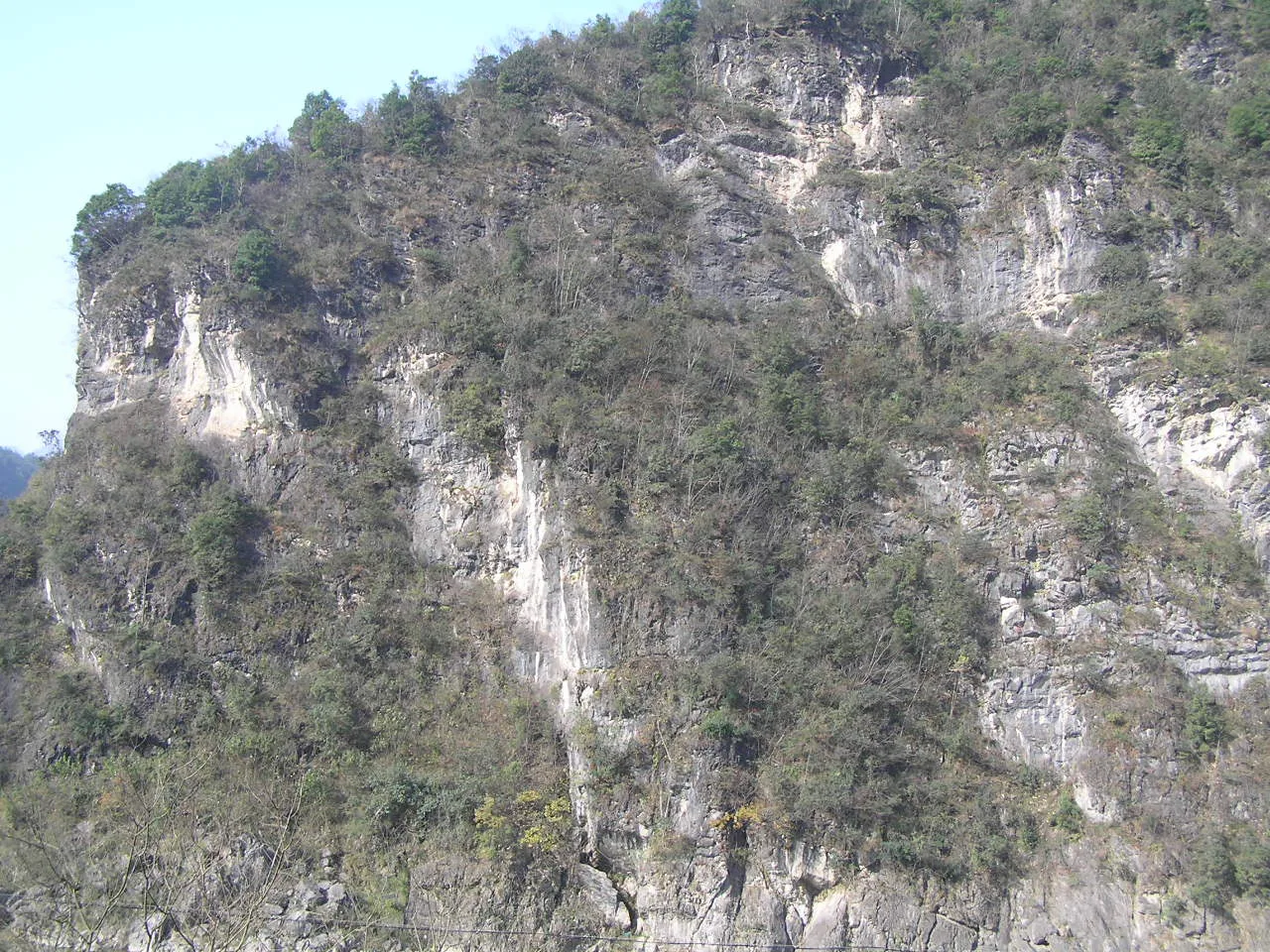 四川青川县竹园镇七佛乡斑竹林 - panoramio