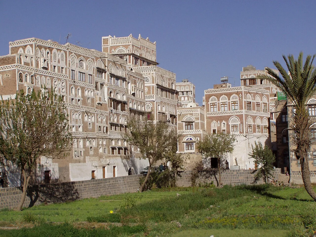 Vegetable Garden in Old Sana'a (2286831748)