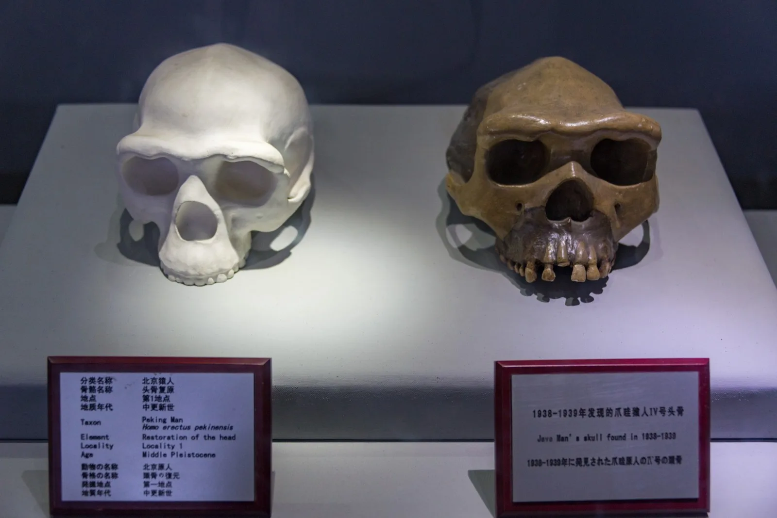 周口店北京人遗址