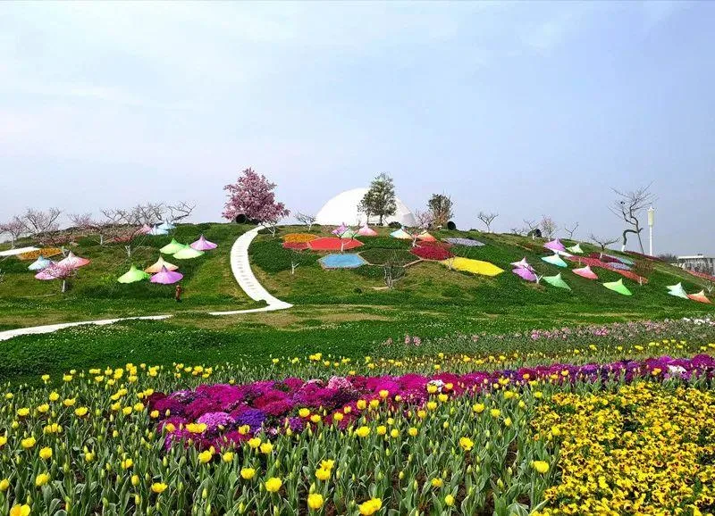 Weiran Flower Sea scene