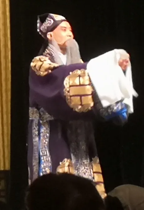 上海京剧院《失空斩》人民大舞台 (cropped)