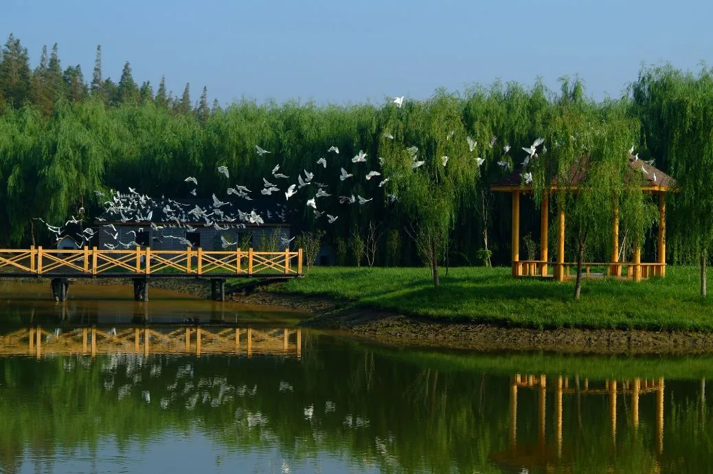 喜报!崇明西沙·明珠湖景区正式挂牌上海市五星体育旅游休闲基地 公园