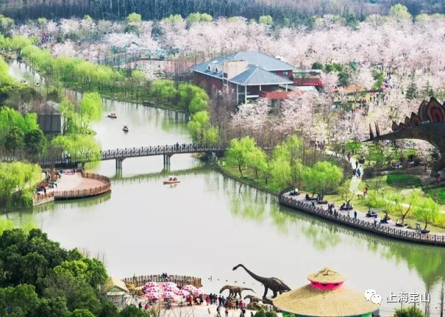 Baoshan Tourist Area scene 3