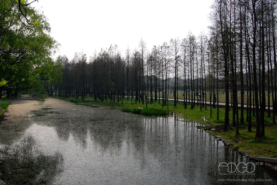 共青森林公园,Gongqing Forest Park - panoramio