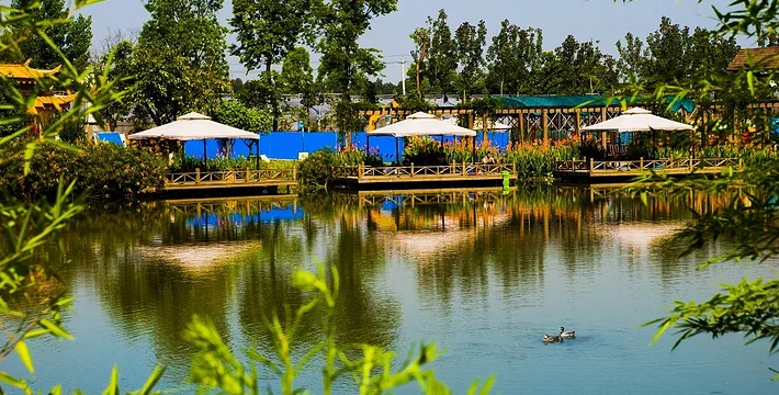 Haonongren Organic Farm scene 3