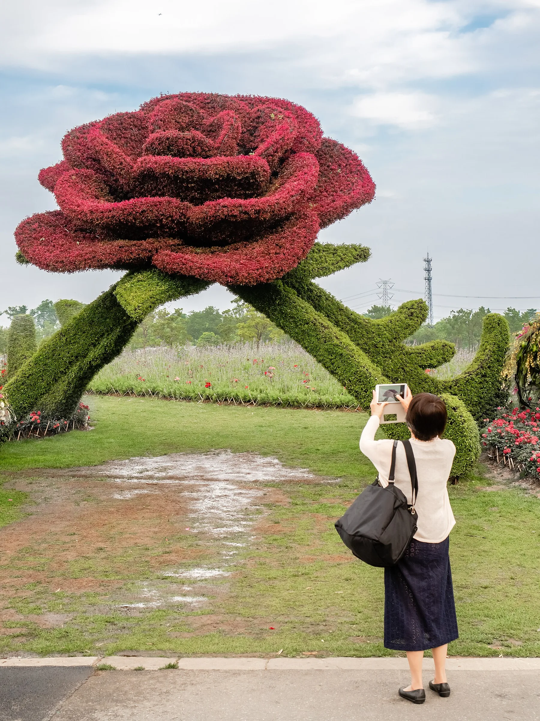 Shanghai Botanical Garden, China (Unsplash)