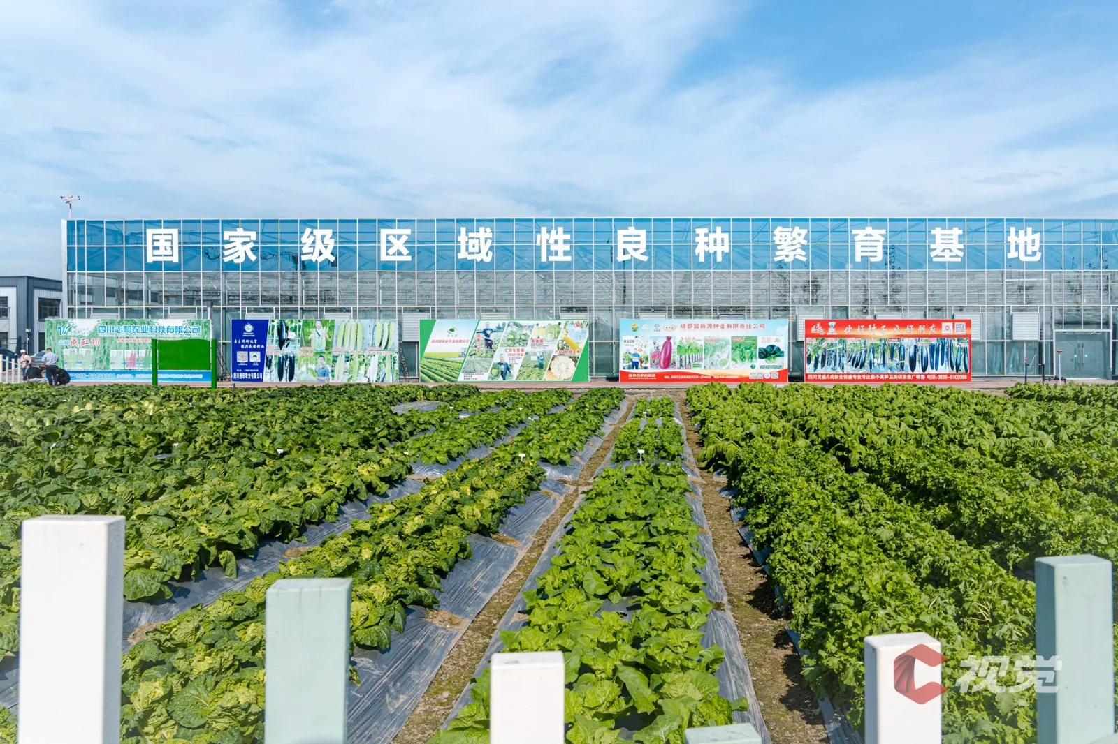 Tianfu Shuxiang Expo Park scene 3