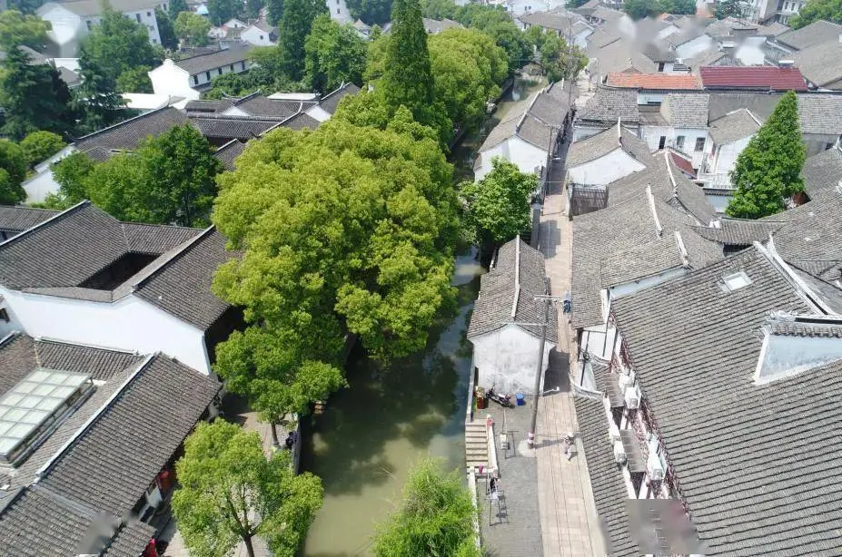 申城记忆 | 陈云故里,练塘古镇-搜狐大视野-搜狐新闻