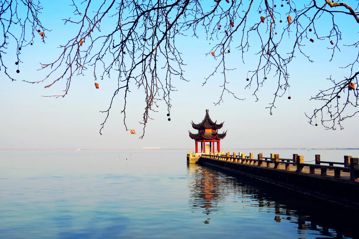 Tea terraces at Dongshan, Lake Tai