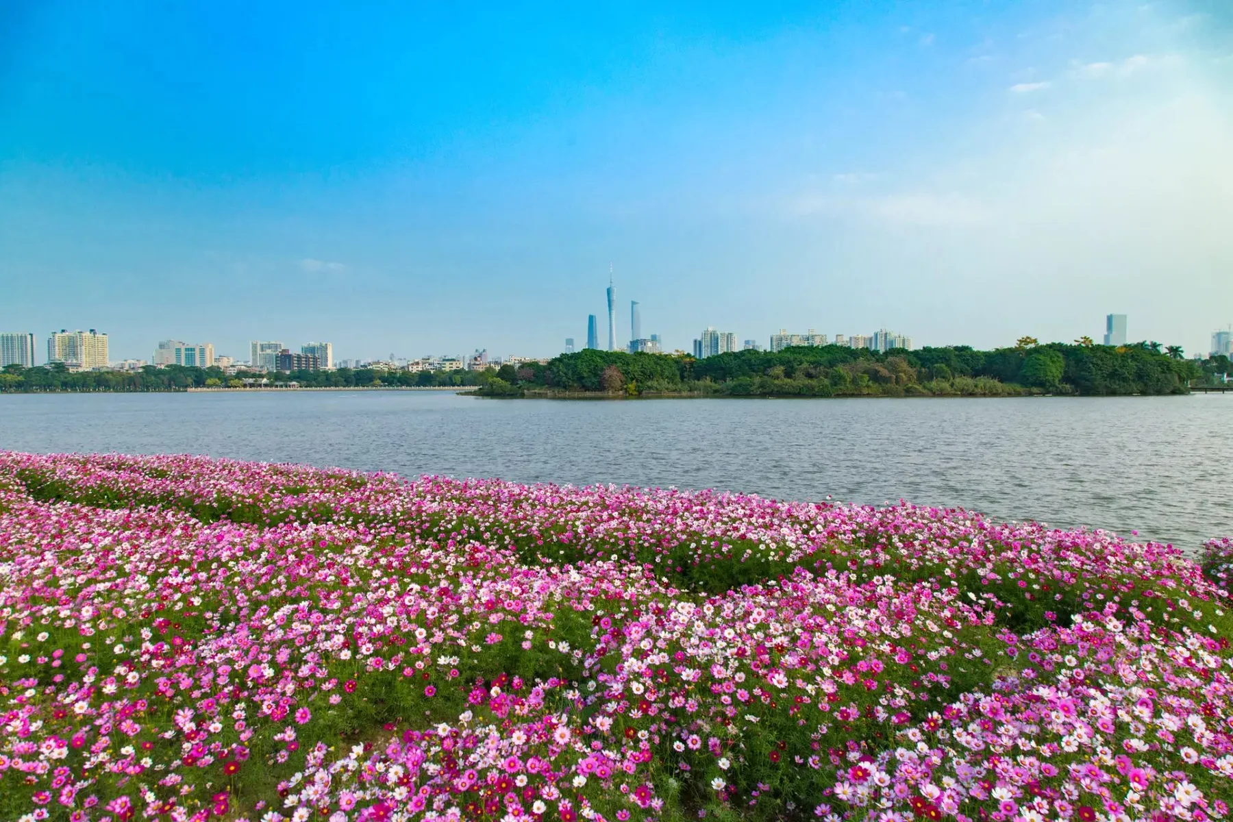 广州海珠湖景点介绍,广州海珠湖,广州海珠湖图片(第9页) 大山谷图库