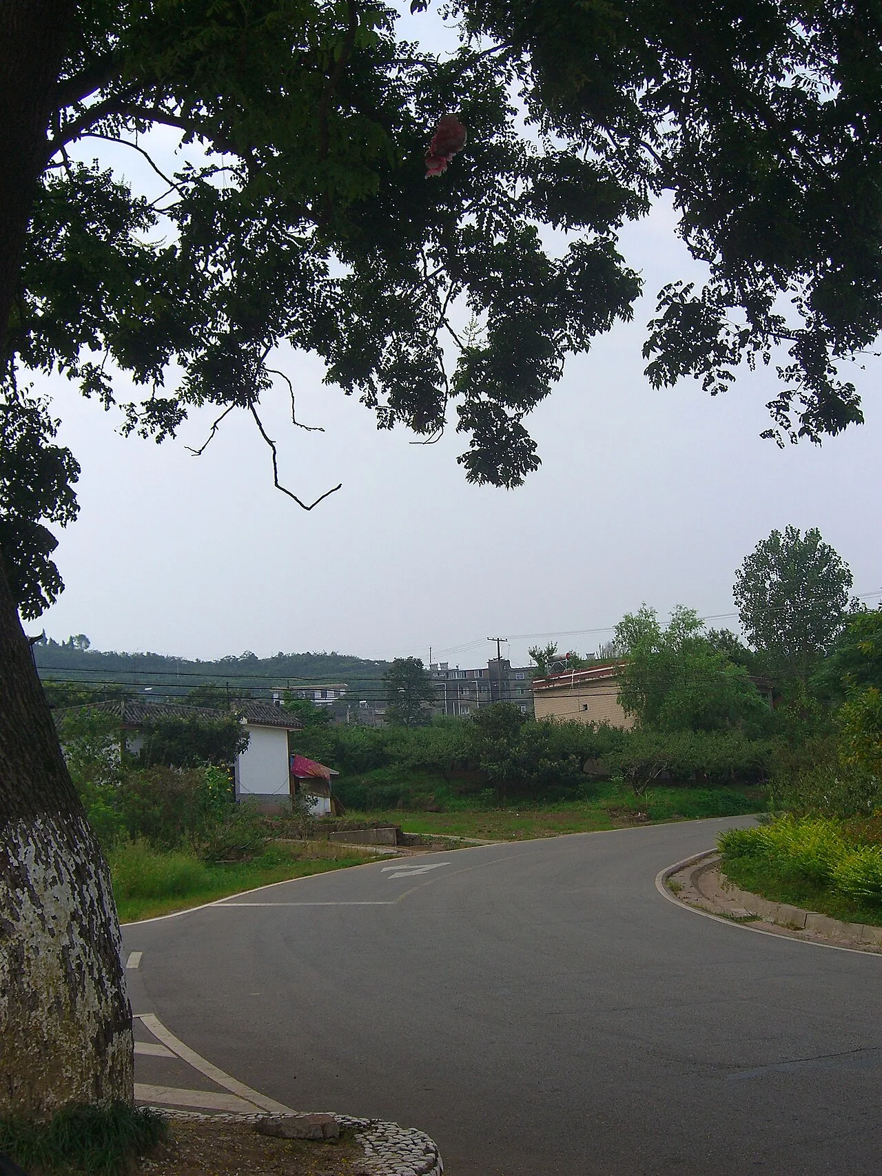 龙泉山 桃花故里前 - panoramio (1)