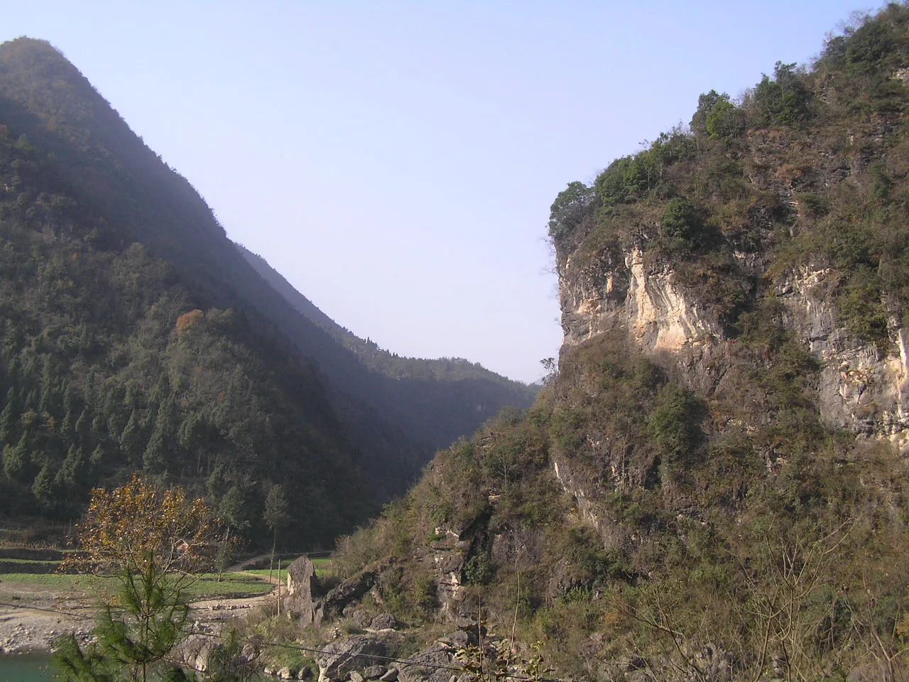 四川青川县竹园镇七佛乡斑竹林 - panoramio