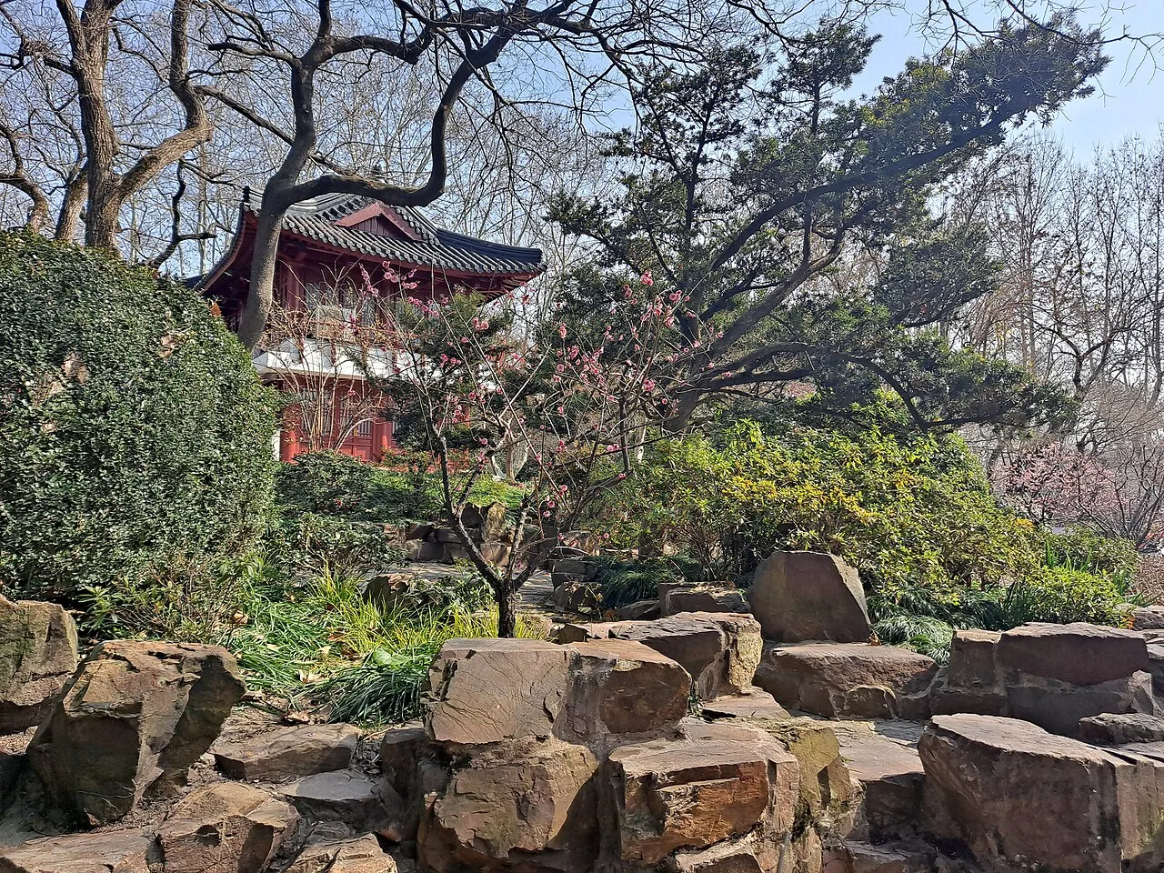 上海鲁迅公园内的梅园