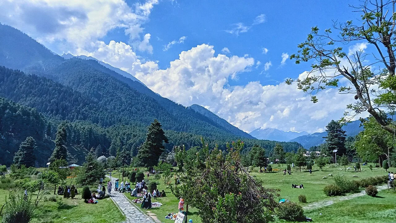 Lavender Park 10