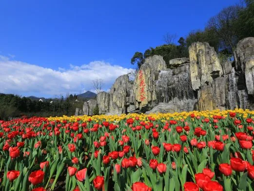 Tianfu Huaxi Valley scene 3