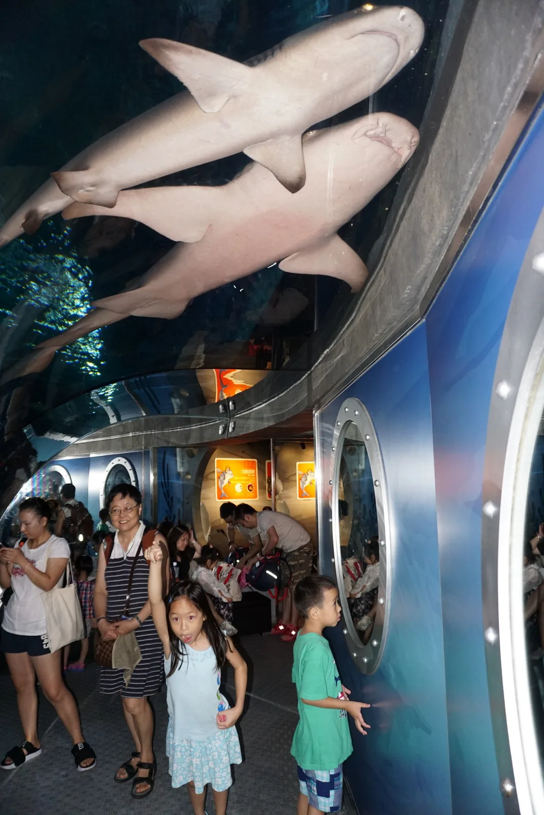 Changfeng Park aquarium walkway