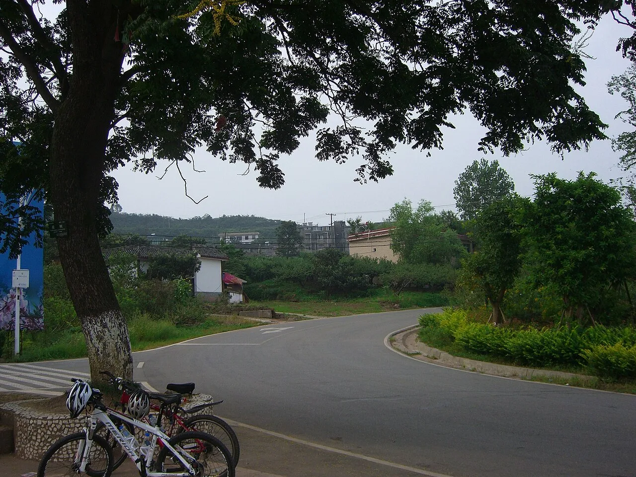 龙泉山 桃花故里前 - panoramio