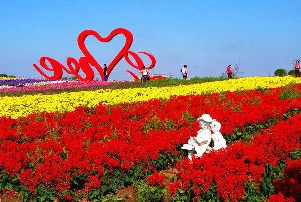2026周浦花海游玩攻略(时间+地点+门票价格)|上海周浦花海|上海赏花-墙根网