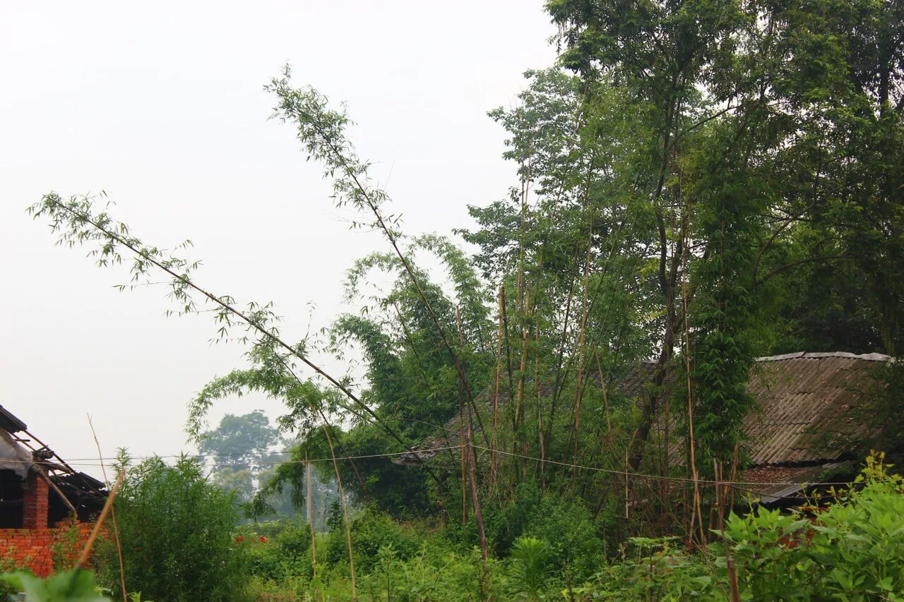 成都三道堰徐堰河 - panoramio
