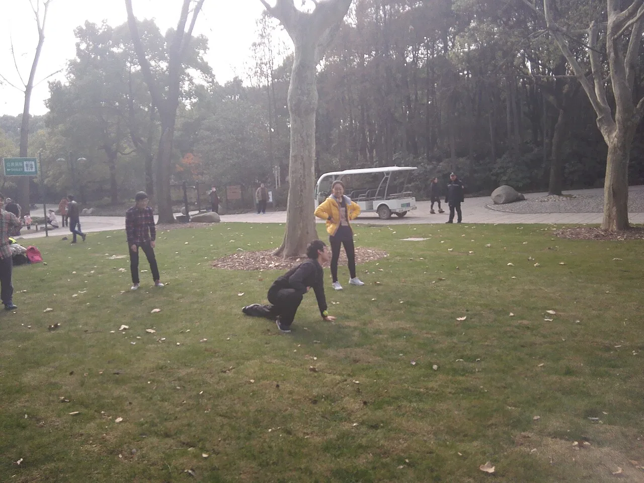 The lawn on Gongqing Forest