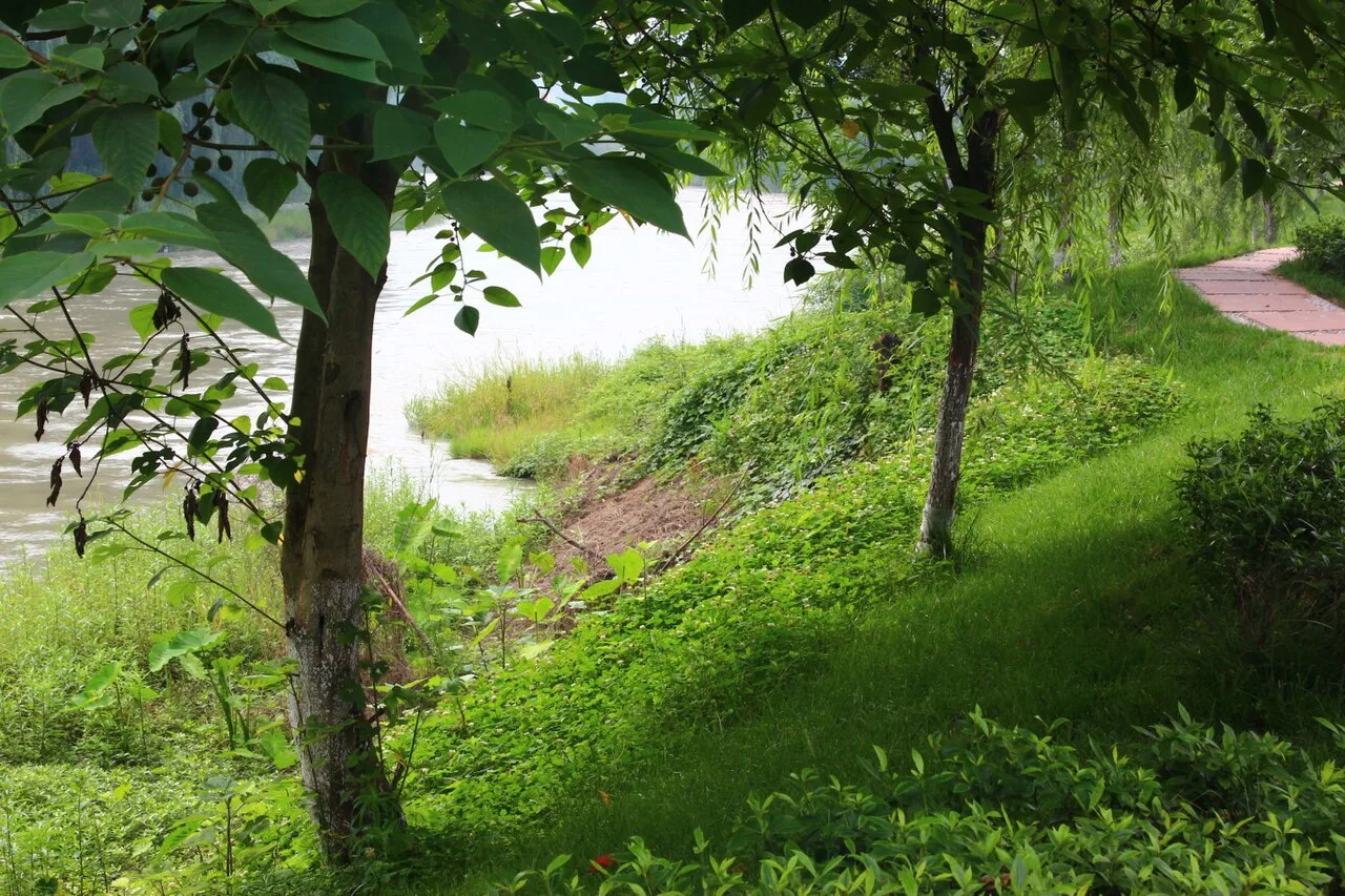 成都三道堰徐堰河 - panoramio