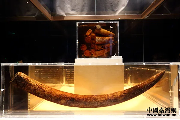 Relics unearthed at Jinsha