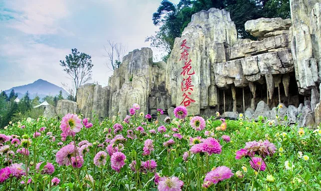Tianfu Huaxi Valley scene