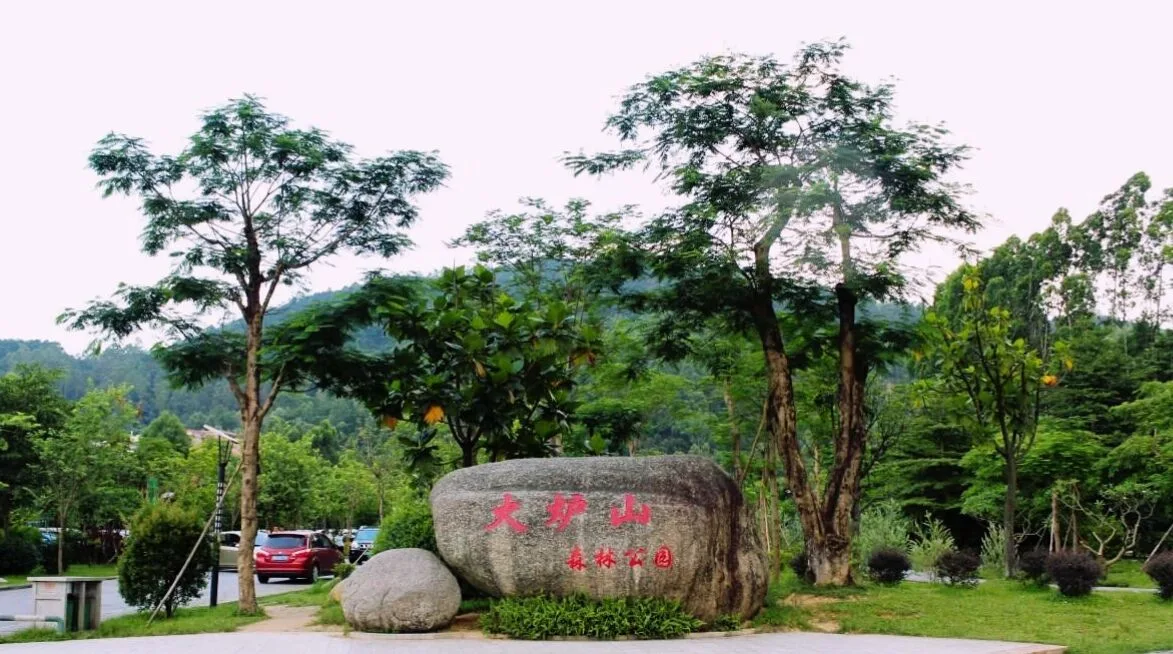 广州火炉山森林公园风景很美登山的人为什么不多呢?你去过吗 新浪新闻