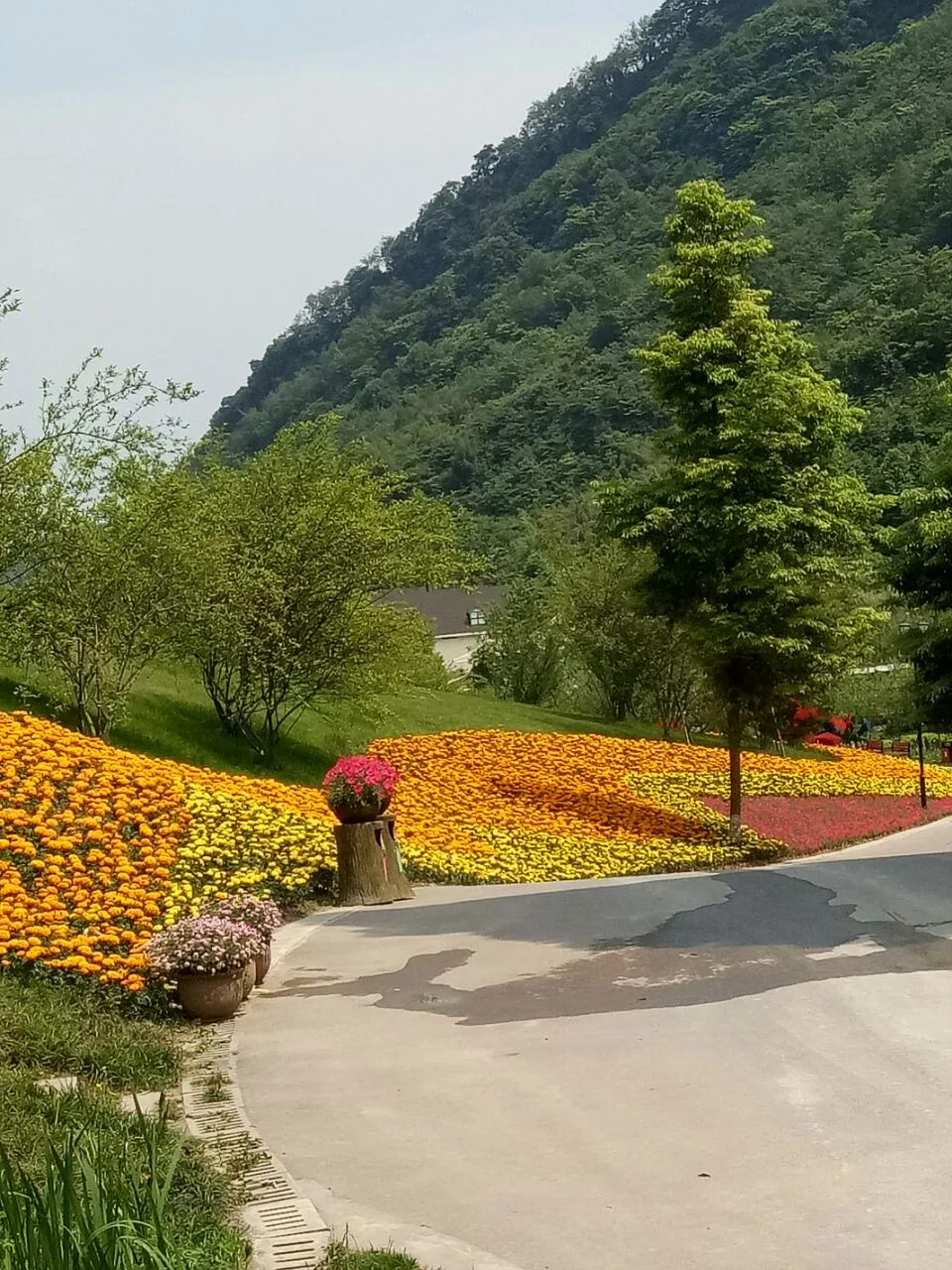 Tianfu Huaxi Valley scene 4