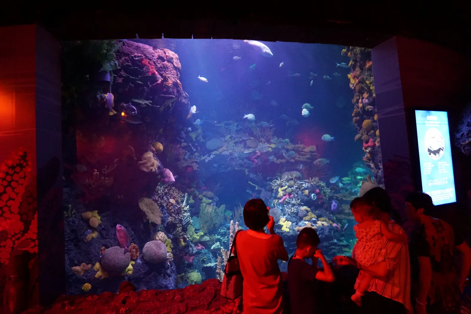 Changfeng Park aquarium