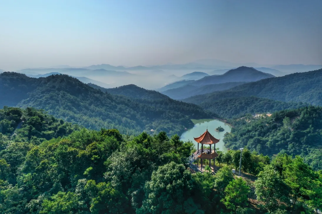 Baijianghu Forest Park scene