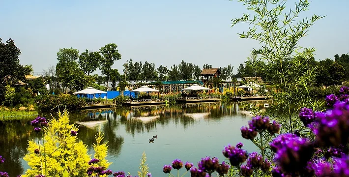 Haonongren Organic Farm scene